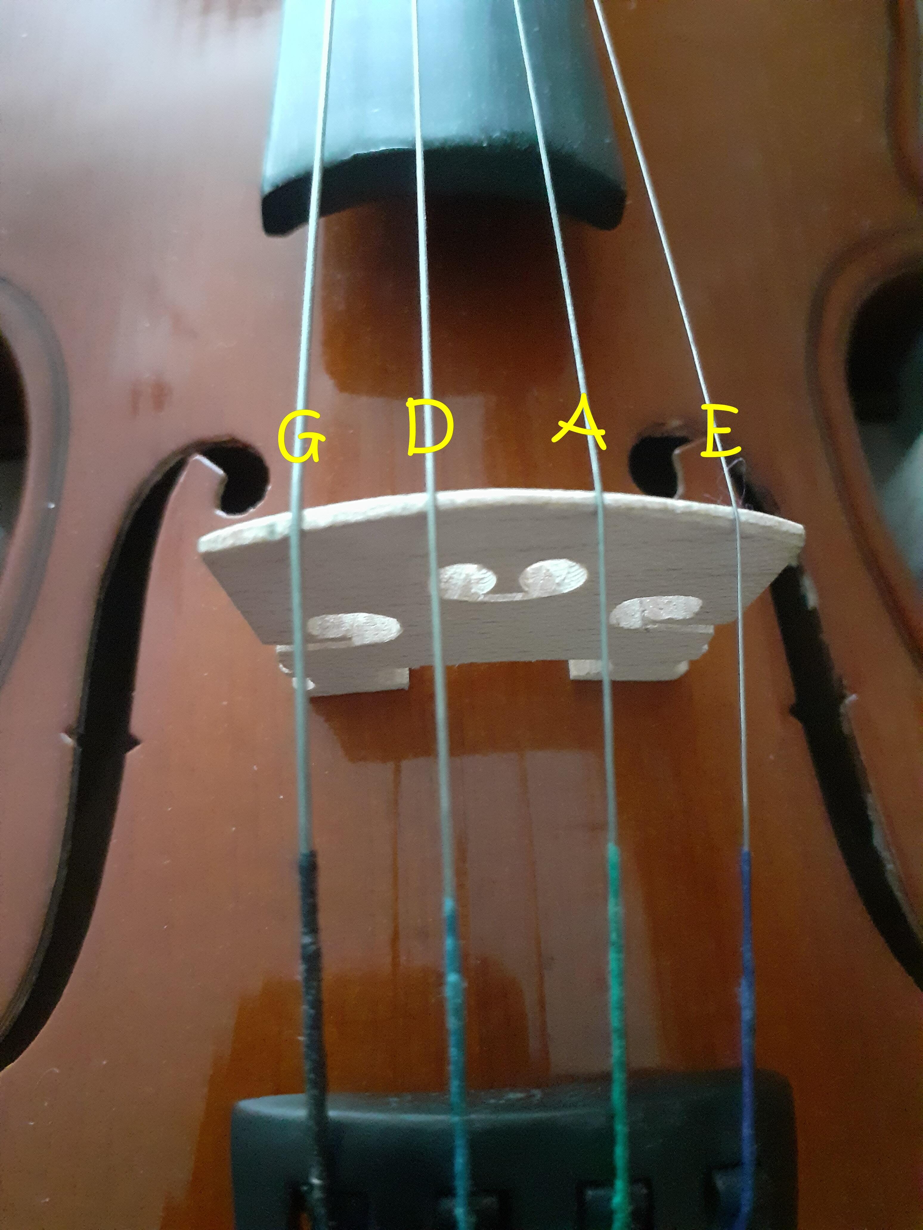 Violin string names